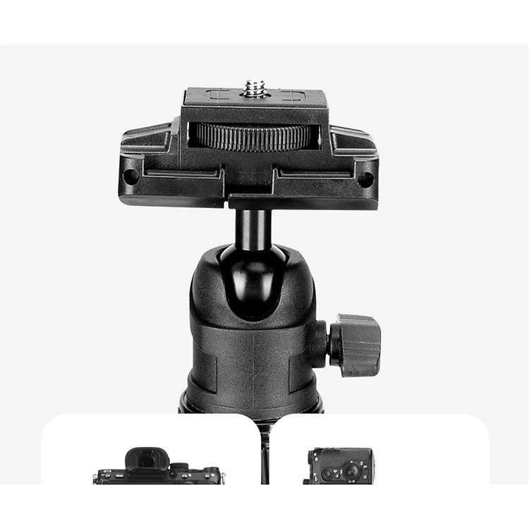 YUNTENG VCT-180 Portable Multipurpose Selfie Foldable Tripod Stand (35cm-174cm) for Phone Camera Selfie with Remote - Image 3